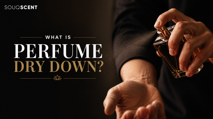 What is Dry-Down? How Perfume Changes on Your Skin (Complete Guide 2026)