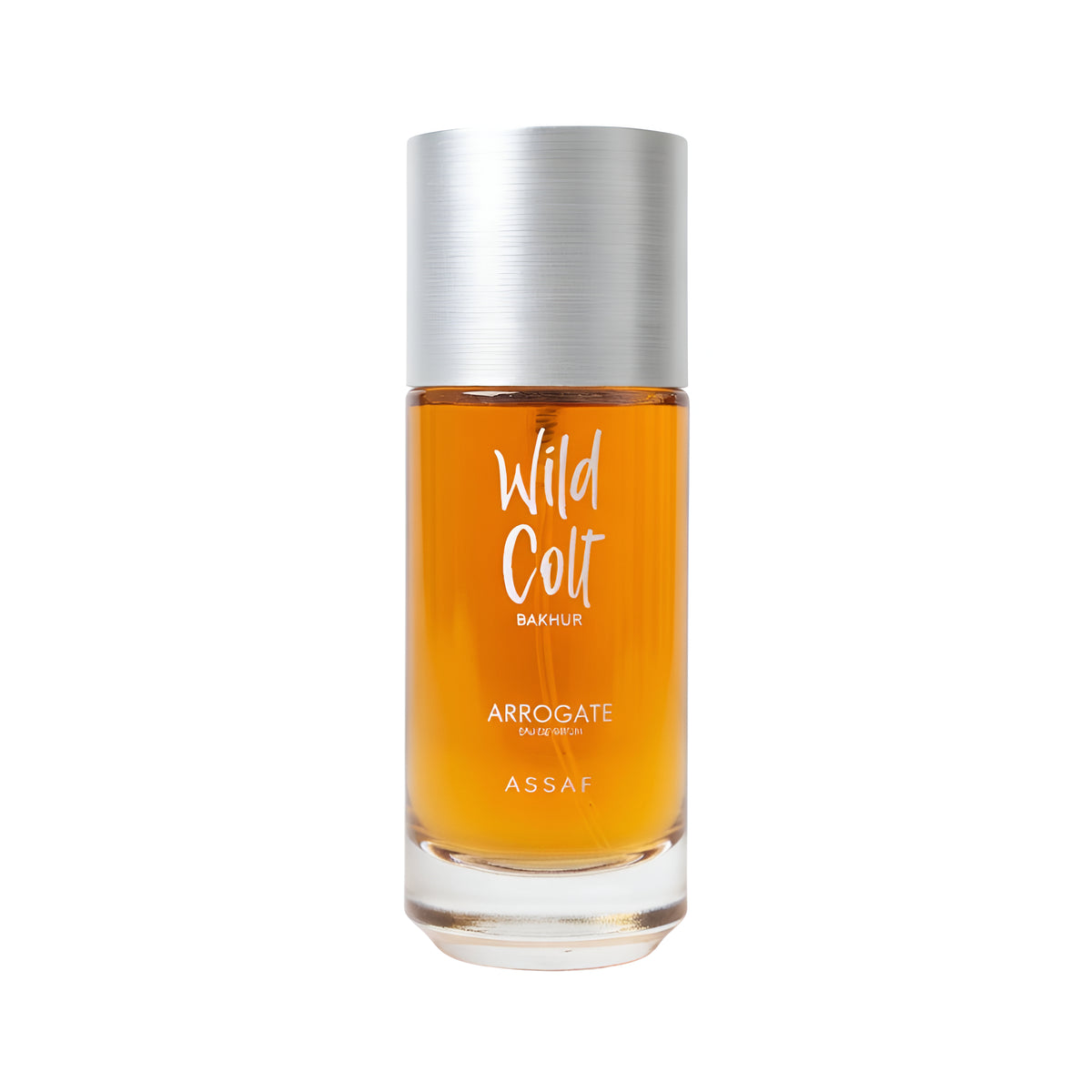 ASSAF WILD COLT BAKHUR