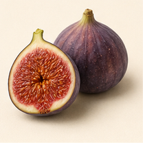 Fig