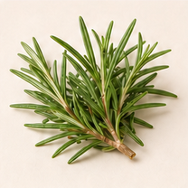 Rosemary